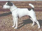 Brockwood Tuppence