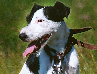 Little Eden Exile Art