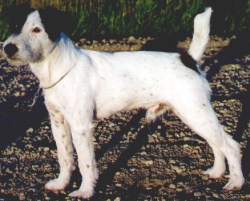 Little Eden Exile Left Side View